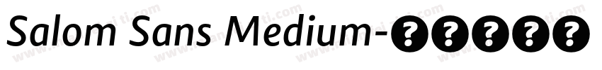 Salom Sans Medium字体转换
